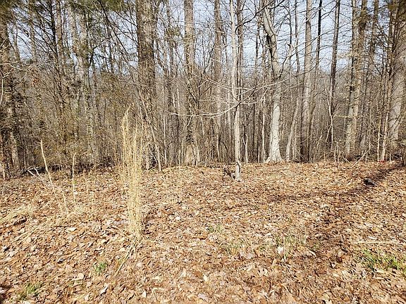 2nd view of building spot.