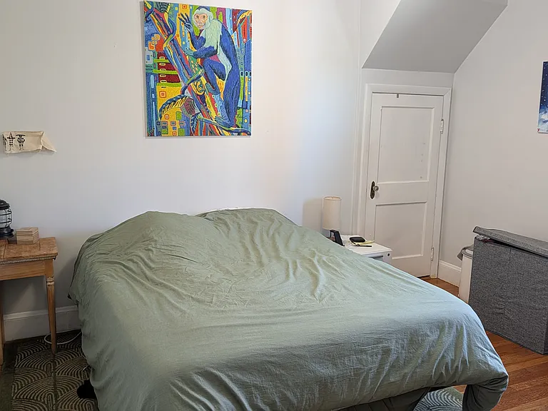 48-50 Edgecliff Rd #2 — Photo 6