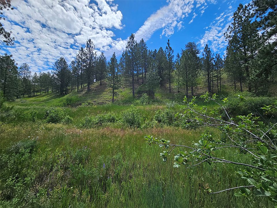 1st image of 569 Creek Hollow Way