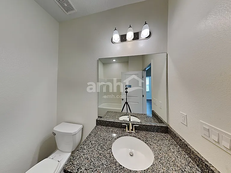1306 Celery Palm Cv — Photo 17