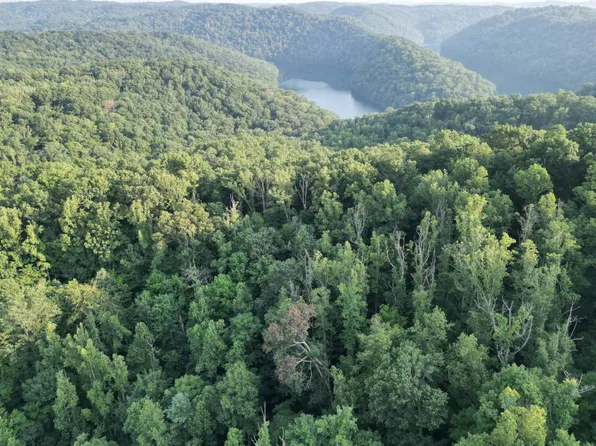 0 Flatwoods Run, Sutton, WV 26601