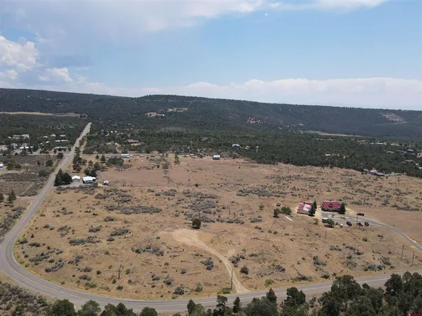 19296 Surface Creek Road, Cedaredge, CO 81413