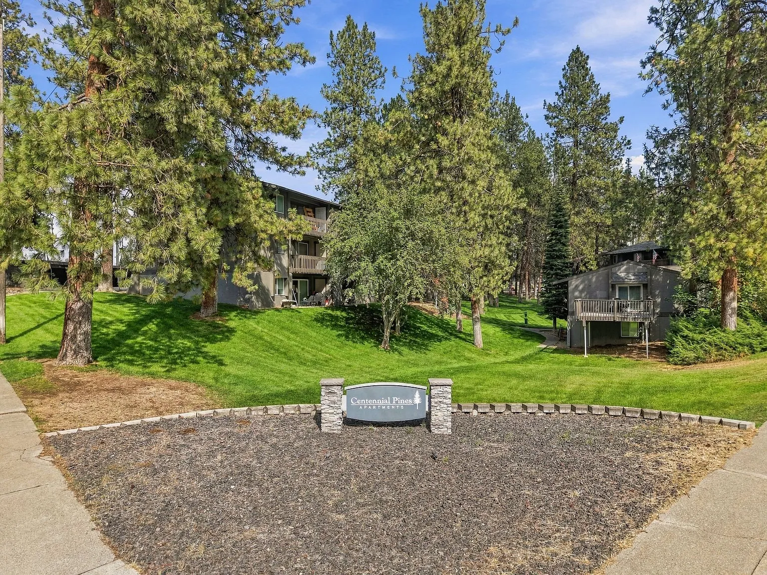Centennial Pines Apartments! — Photo 2