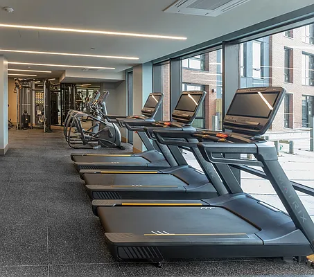 Rented by MNS | media 38