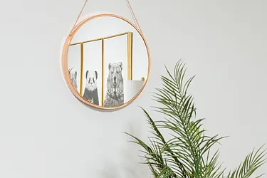 Rented by Finest Furnished LLC