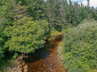 150a Steel Mountain Road, Barachois Brook, NL A0N1B0
