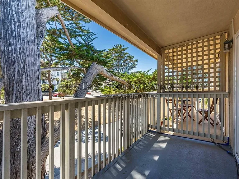 420 Lighthouse Ave #D — Photo 17
