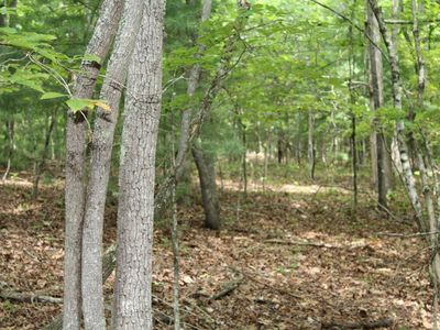 0 Swaims Rd, Hayesville, NC, 28904