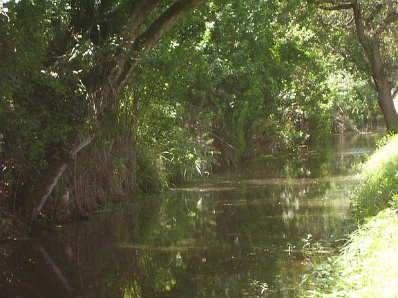 canal in back yard