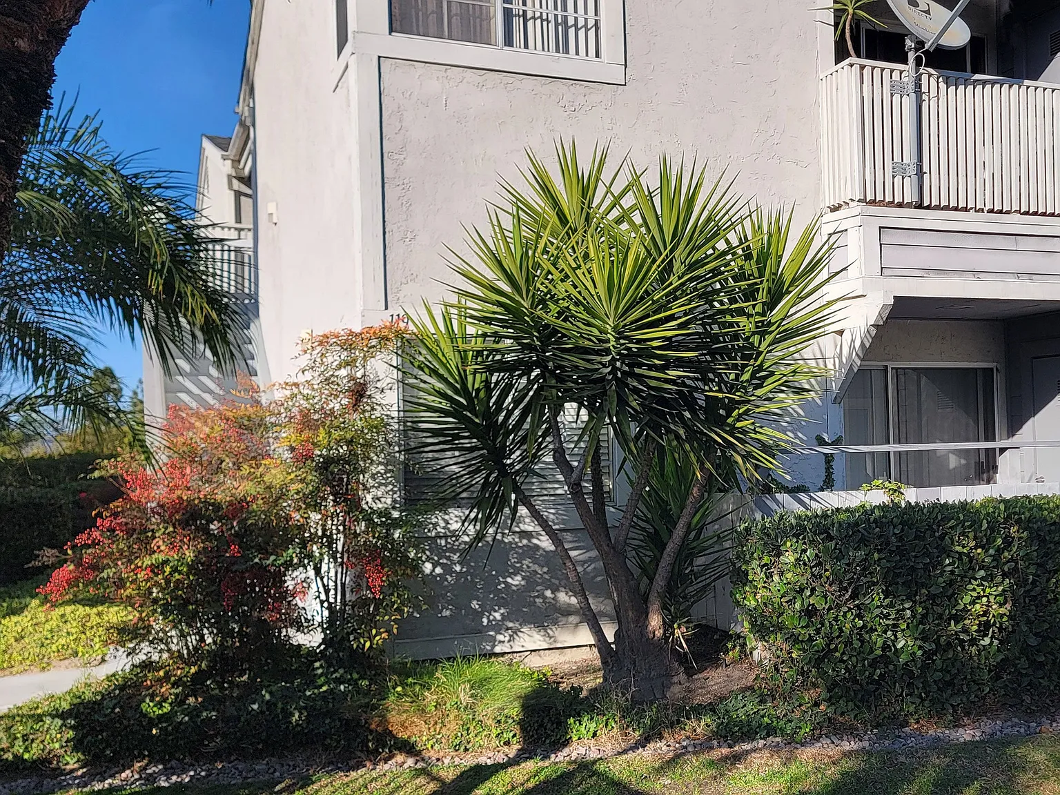 Presidio Villa Apartments — Photo 3