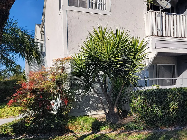 Great variety of plantings at the Presidio Villa Apartments in Vista, California.