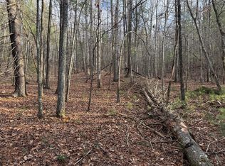 3.18 Rass Dover Rd, Blairsville, GA 30512