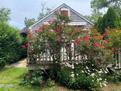 17 Shore Road UNIT 9, Truro, MA, 02666