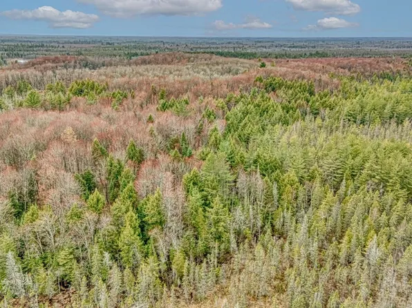 948-N948 Old Plank Rd, Wetmore, MI 49895