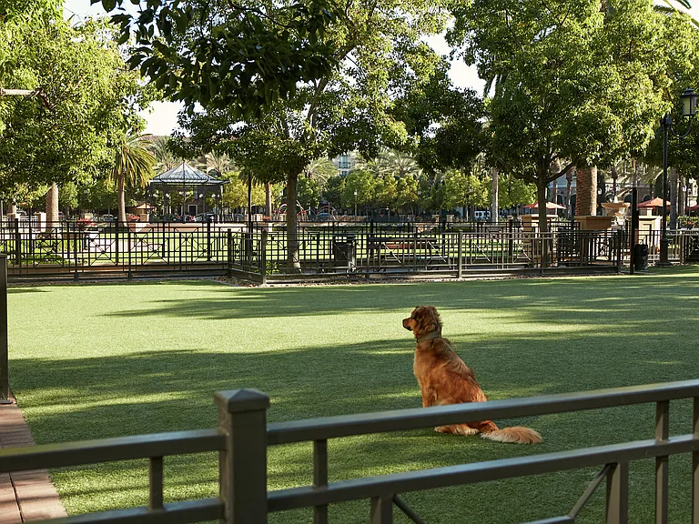 The Park at Irvine Spectrum — Photo 7