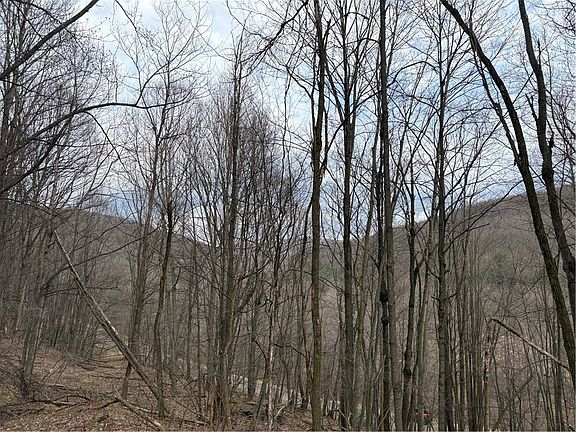 2nd image of 0 Philson Rd