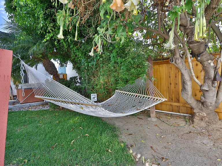 3270 Cedar St #A — Photo 15