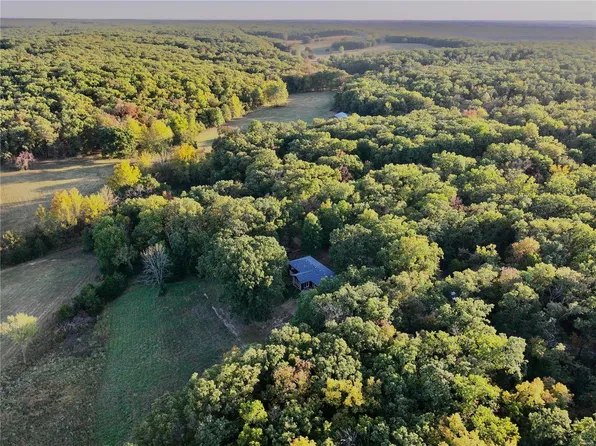 4162 Holt Rd, Bland, MO 65014