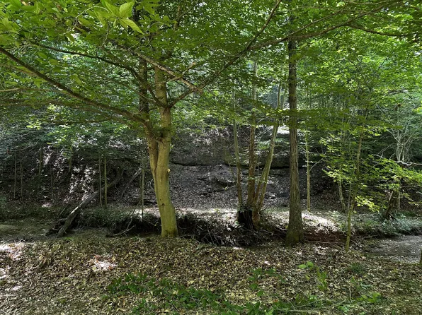 1101 Hull Rd, Patriot, OH 45658