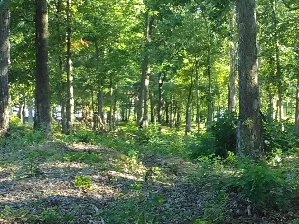 2nd image of 101 Tiger Trl Lot 52
