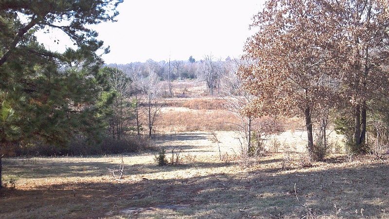 1st image of 423 County Road 4397