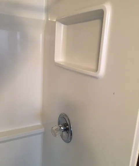 Shower walls and handle