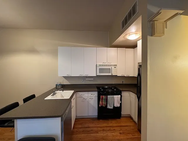 616 N Paulina St #1 — Photo 7