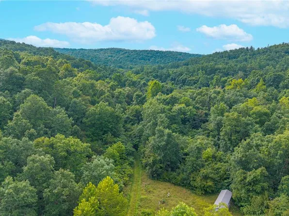 301 County Road 203, Annapolis, MO 63620