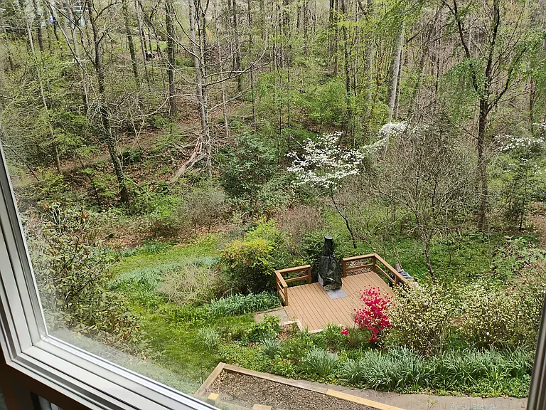 17 Ambler Rd — Photo 15