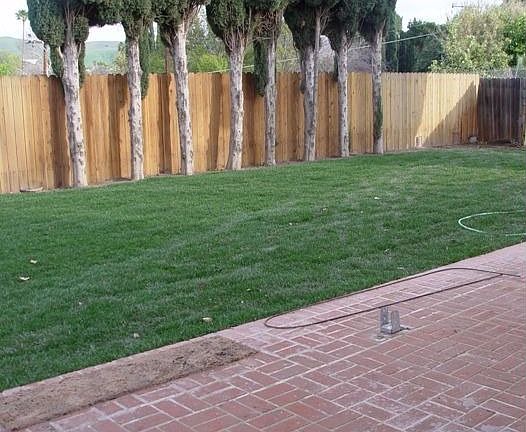 Large yard with fire pit