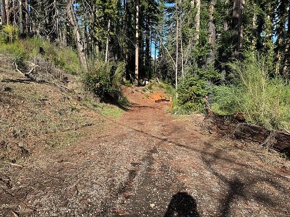 3rd image of 791 Summit Dr
