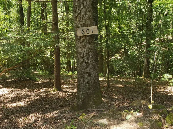 N/a W Neshoba Ct, Ellijay, GA 30540