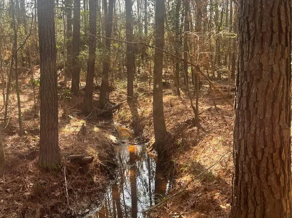 Fm 943, Livingston, TX 77351