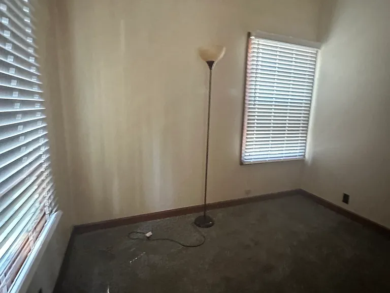 307 Pineland Dr — Photo 5