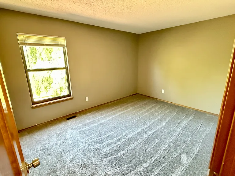 393 Misty Valley Dr — Photo 15