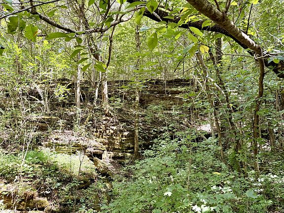 4th image of 877 Hanna Branch Rd