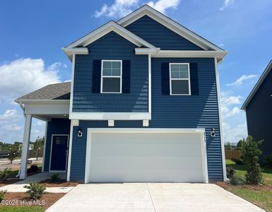 4313 Rough Stalk Lane Lot 300, Castle Hayne, NC, 28429