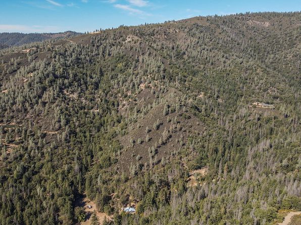 751 Mule Gulch Rd, Douglas City, CA 96024