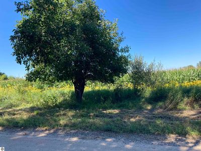 Townline Rd, Kingsley, MI, 49649