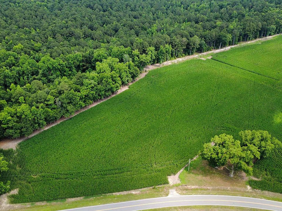 2nd image of TBD (Tract 6) Long Branch Swamp Rd. #Tract 6 and Tract 4 Remainder