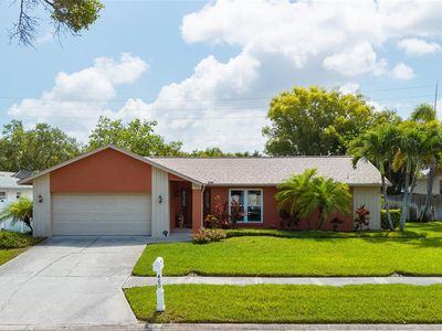460 Meravan Dr, Palm Harbor, FL, 34683