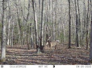 0 Simpson Rd, Cadet, MO 63630