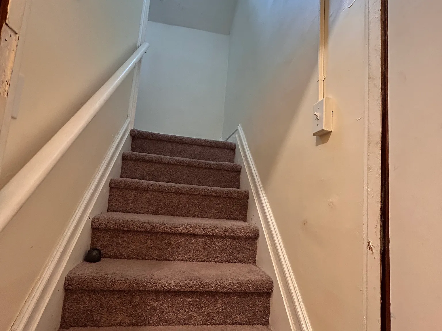 1 bed, 800 sqft, $1,300 — Photo 2