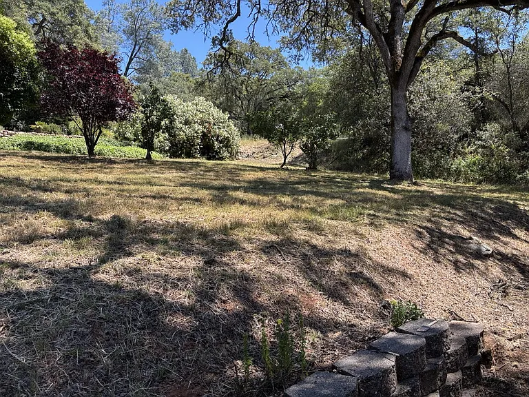 1782 Lotus Rd — Photo 17