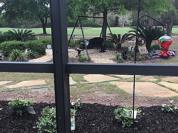 back yard view from Lanai