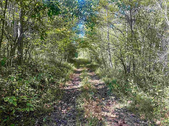 4th image of Quackenbush Springs Rd