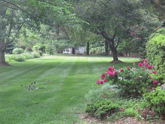 Looking from the driveway