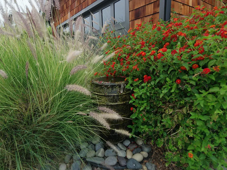 30621 Sandtrap Dr — Photo 40