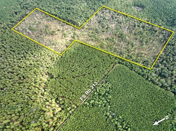 0 Forest Service Rd #213, Huntsville, TX 77340