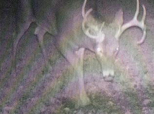 W10503 Farm Ln, Ettrick, WI 54627